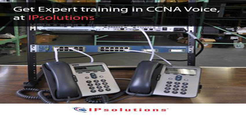 CCNA Collaboration